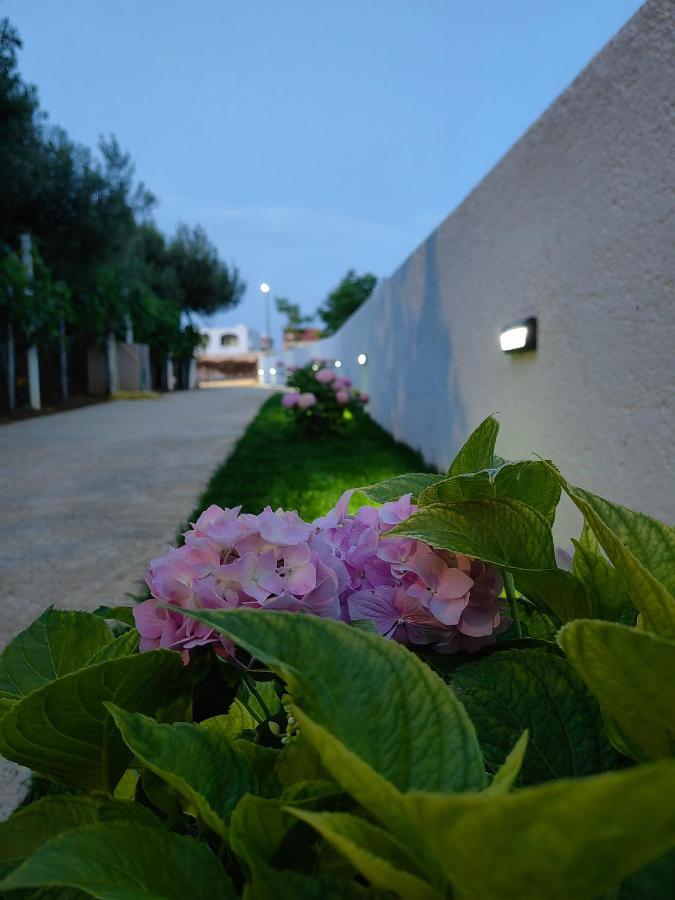 Apartment White Pearl Ražanac Εξωτερικό φωτογραφία